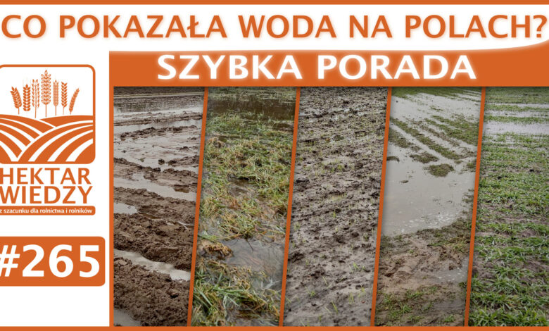 SZYBKA_PORADA_OKLADKA_265