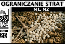 Photo of N1, N2. OGRANICZANIE STRAT. | ODCINEK 320