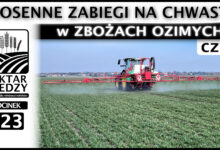 Photo of WIOSENNE ZABIEGI NA CHWASTY w ZBOŻACH OZIMYCH. Część 1. | ODCINEK 323
