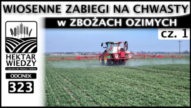 Photo of WIOSENNE ZABIEGI NA CHWASTY w ZBOŻACH OZIMYCH. Część 1. | ODCINEK 323