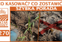 Photo of ZATRZYMAJ TE OPRYSKI. | SZYBKA PORADA #269