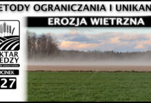 Photo of EROZJA WIETRZNA – METODY OGRANICZANIA I UNIKANIA. | ODCINEK 327