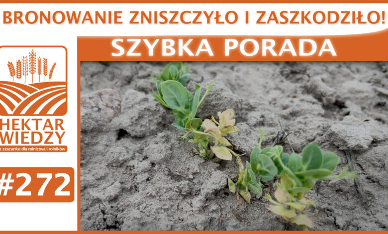 SZYBKA_PORADA_OKLADKA_272