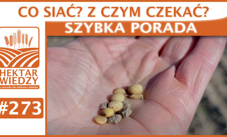 SZYBKA_PORADA_OKLADKA_273