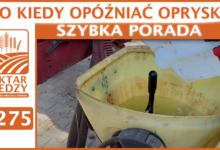 Photo of DO KIEDY OPÓŹNIAĆ OPRYSKI? | SZYBKA PORADA #275