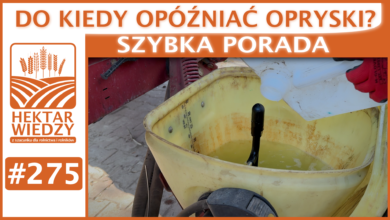 Photo of DO KIEDY OPÓŹNIAĆ OPRYSKI? | SZYBKA PORADA #275