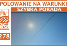 Photo of POLOWANIE NA WARUNKI | SZYBKA PORADA #278