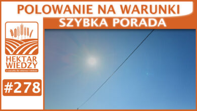 Photo of POLOWANIE NA WARUNKI | SZYBKA PORADA #278