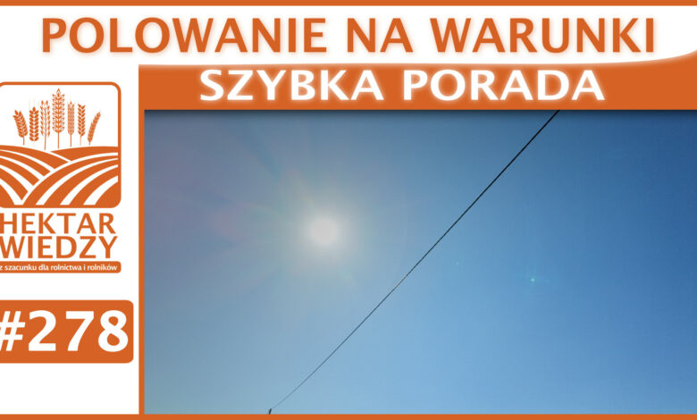 Okladka_SP_278