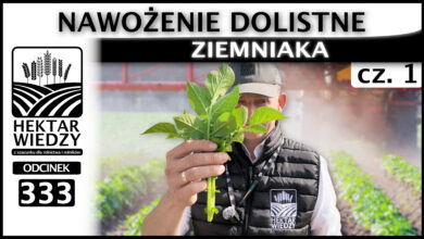 Photo of NAWOŻENIE DOLISTNE ZIEMNIAKA (Część 1) | ODCINEK 333