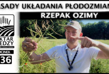 Photo of RZEPAK OZIMY – ZASADY UKŁADANIA PŁODOZMIANU. | ODCINEK 336
