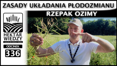 Photo of RZEPAK OZIMY – ZASADY UKŁADANIA PŁODOZMIANU. | ODCINEK 336