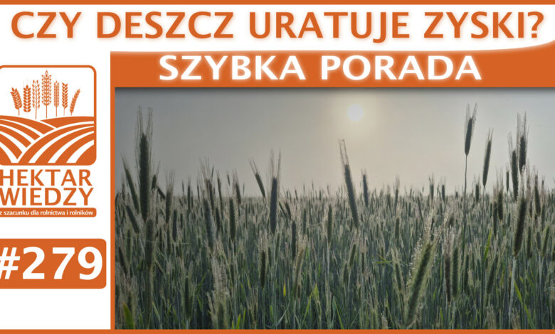 Okładka_SP_279