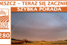 Photo of DESZCZ – TERAZ SIĘ ZACZNIE! | SZYBKA PORADA #280