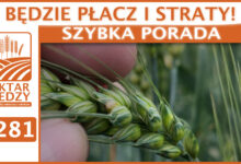 Photo of BĘDZIE PŁACZ I STRATY! | SZYBKA PORADA #281