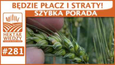 Photo of BĘDZIE PŁACZ I STRATY! | SZYBKA PORADA #281