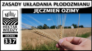 Photo of JĘCZMIEŃ OZIMY – ZASADY UKŁADANIA PŁODOZMIANU. | ODCINEK 337