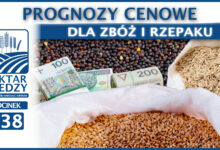 Photo of PROGNOZY CENOWE DLA ZBÓŻ I RZEPAKU | ODCINEK 338