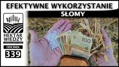 Photo of EFEKTYWNE WYKORZYSTANIE SŁOMY! (ILE TO JEST WARTE?) | ODCINEK 339