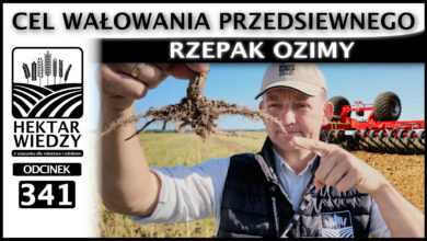 Photo of RZEPAK OZIMY – CEL WAŁOWANIA PRZEDSIEWNEGO | ODCINEK 341