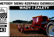 Photo of METODY SIEWU RZEPAKU OZIMEGO – WADY I ZALETY | ODCINEK 343