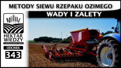 Photo of METODY SIEWU RZEPAKU OZIMEGO – WADY I ZALETY | ODCINEK 343