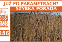 Photo of JUŻ PO PARAMETRACH? | SZYBKA PORADA #286