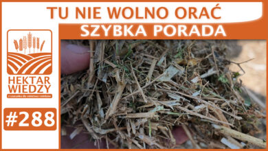 Photo of TU NIE WOLNO ORAĆ | SZYBKA PORADA #288