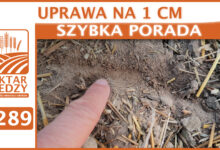 Photo of UPRAWA NA 1 CM | SZYBKA PORADA #289