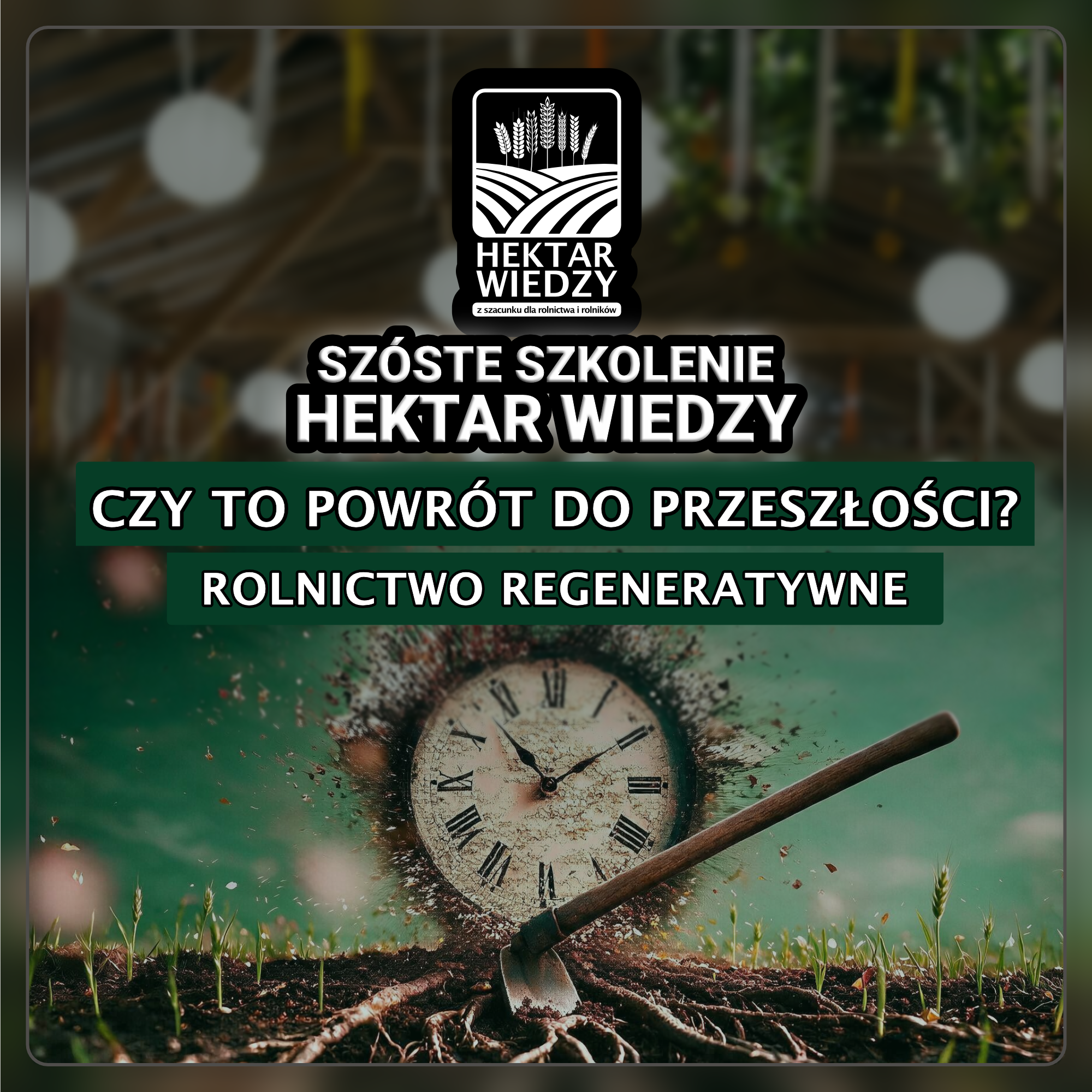 6SHW_Sklep_3 6SHW_Sklep_3