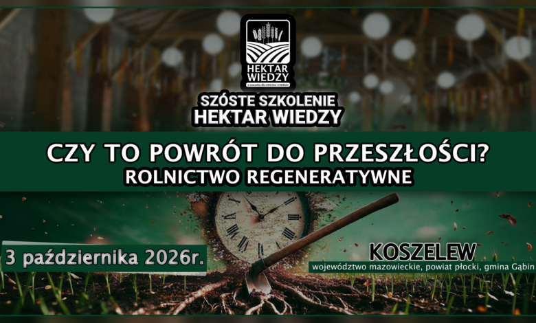 OKŁADKA_6SHW