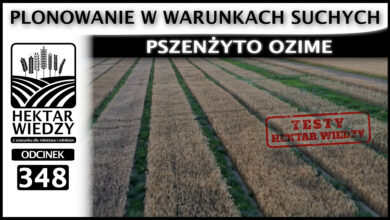 Photo of PLONOWANIE W WARUNKACH SUCHYCH – PSZENŻYTO OZIME | ODCINEK 348