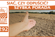 Photo of SIAĆ, CZY ODPUŚCIĆ? | SZYBKA PORADA #292