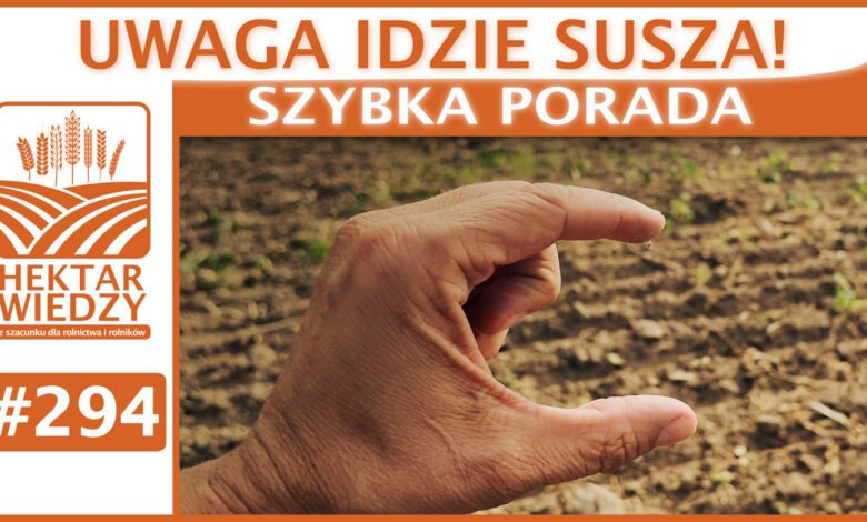 Okładka_SP_294