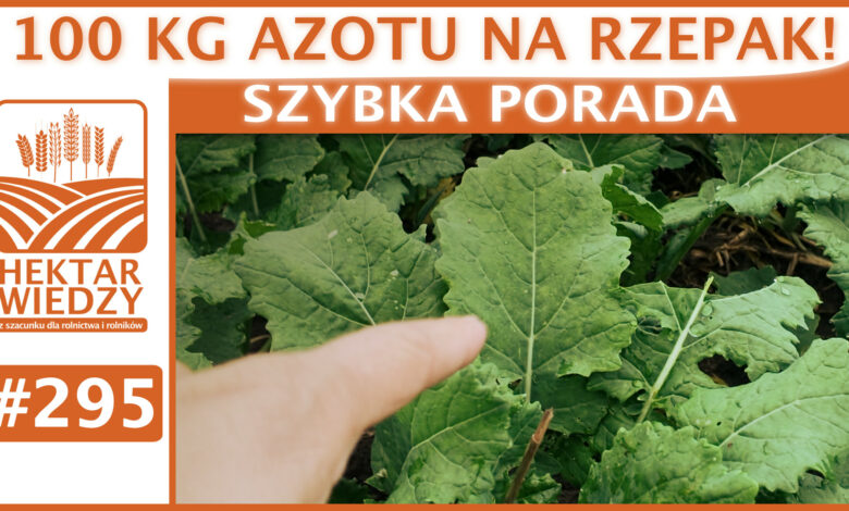 Okładka_SP_295