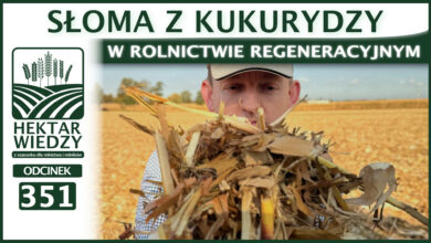 Photo of SŁOMA Z KUKURYDZY W ROLNICTWIE REGENERACYJNYM | ODCINEK 351