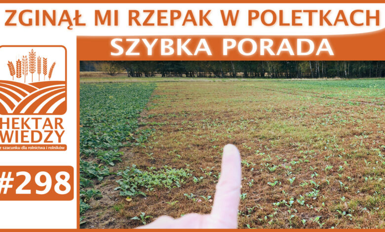 Okładka_SP_298