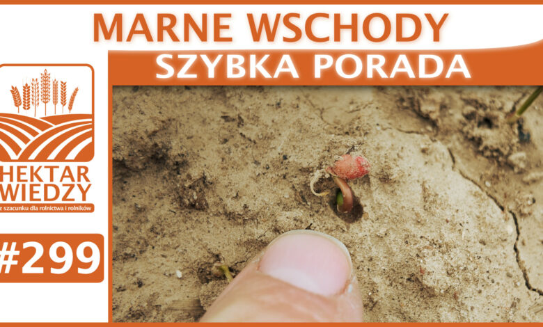 Okładka_SP_299