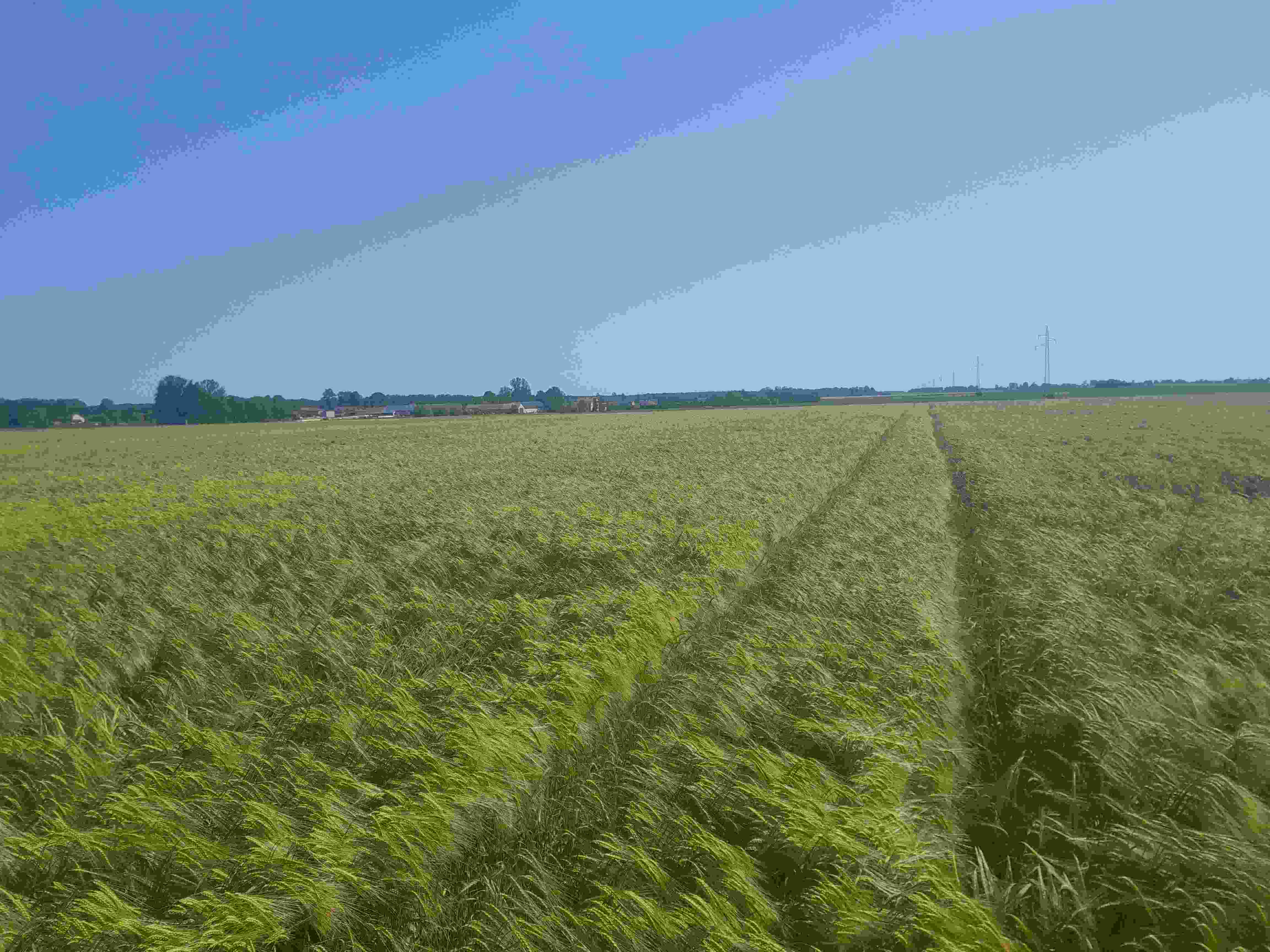 Photo of Kamil Tworkowski