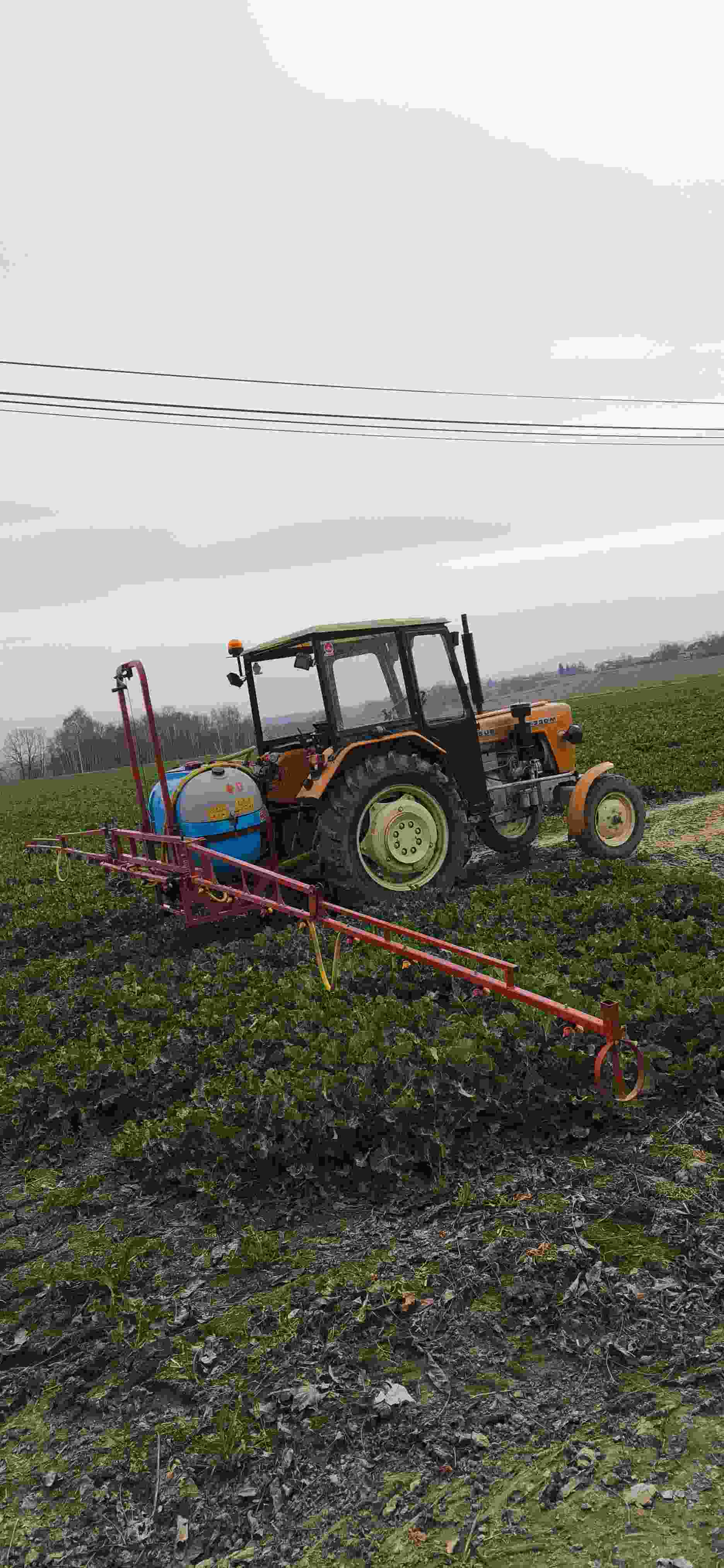 Profile photo ofmamamateusz