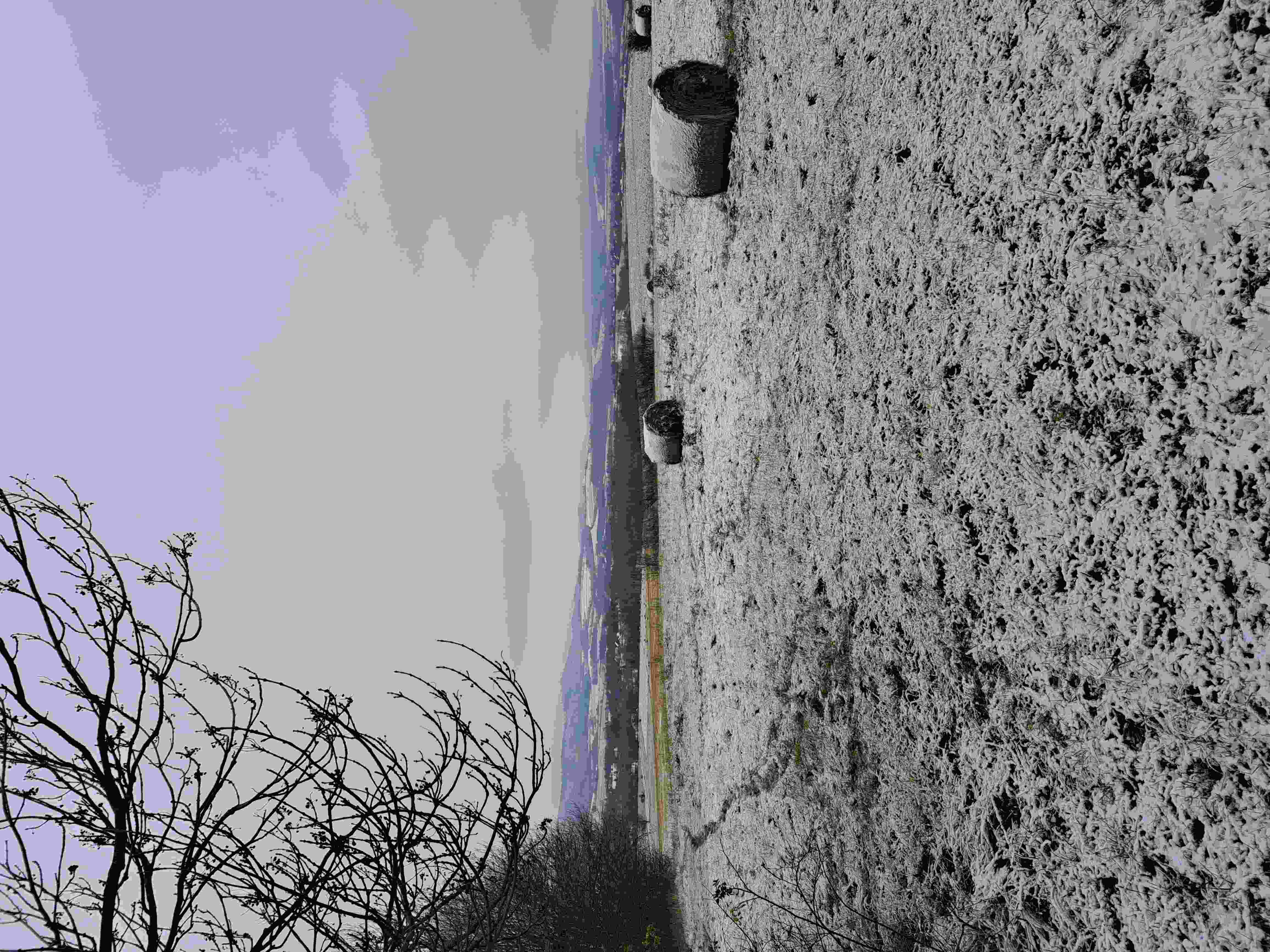 Photo of Grzegorz Ondzio