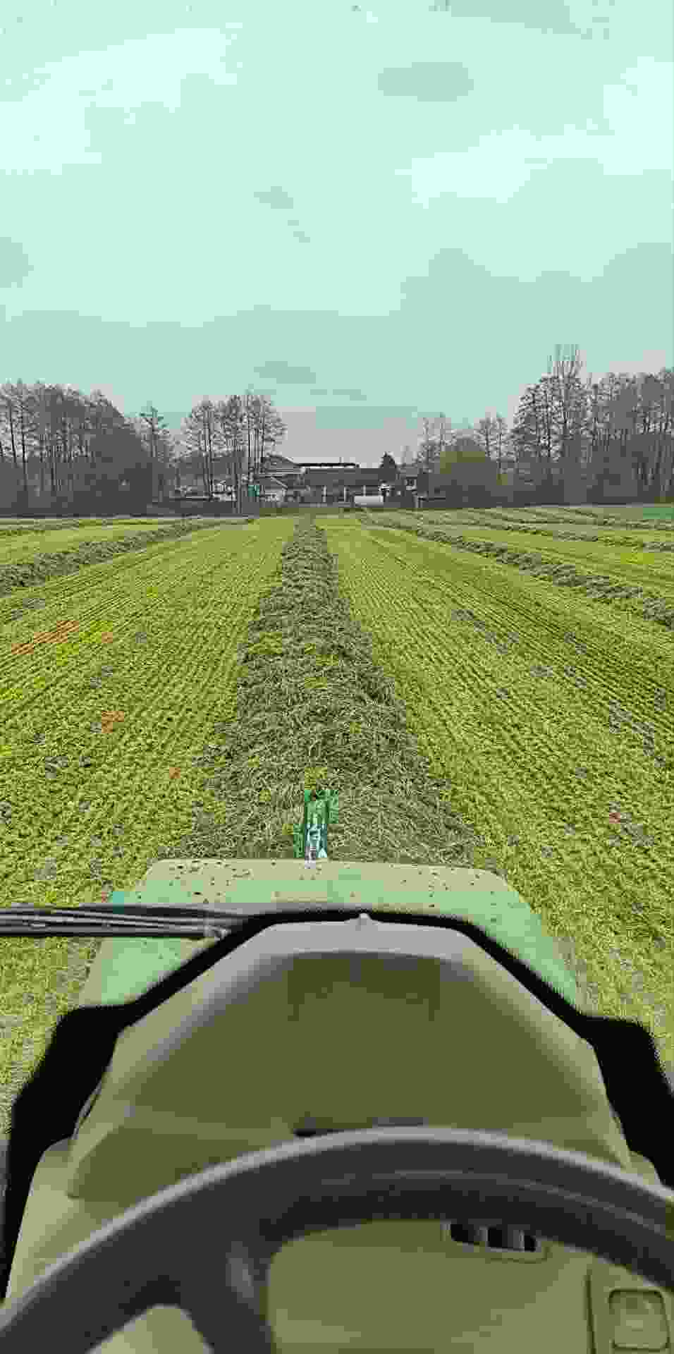 Profile photo ofNiewielkilecznieduzy